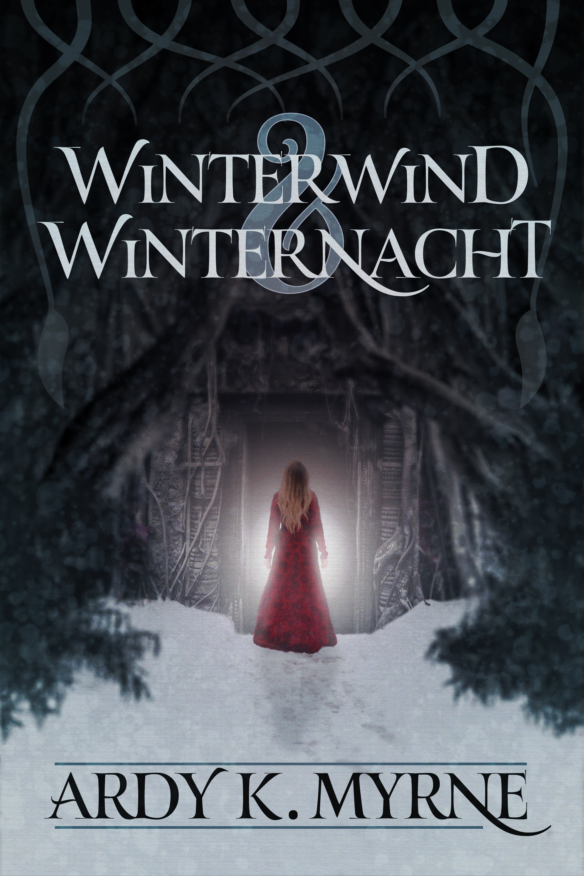 Winterwind & Winternacht